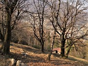Sentieri fioriti sopra casa ad anello-Zogno-28mar22 - FOTOGALLERY